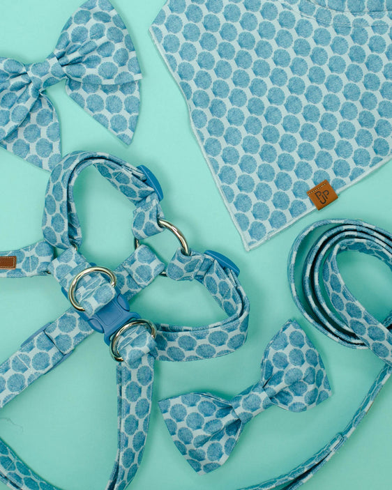 The Caspian Bandana