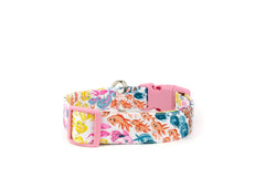 The Reef Collar