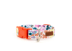 The Reef Collar