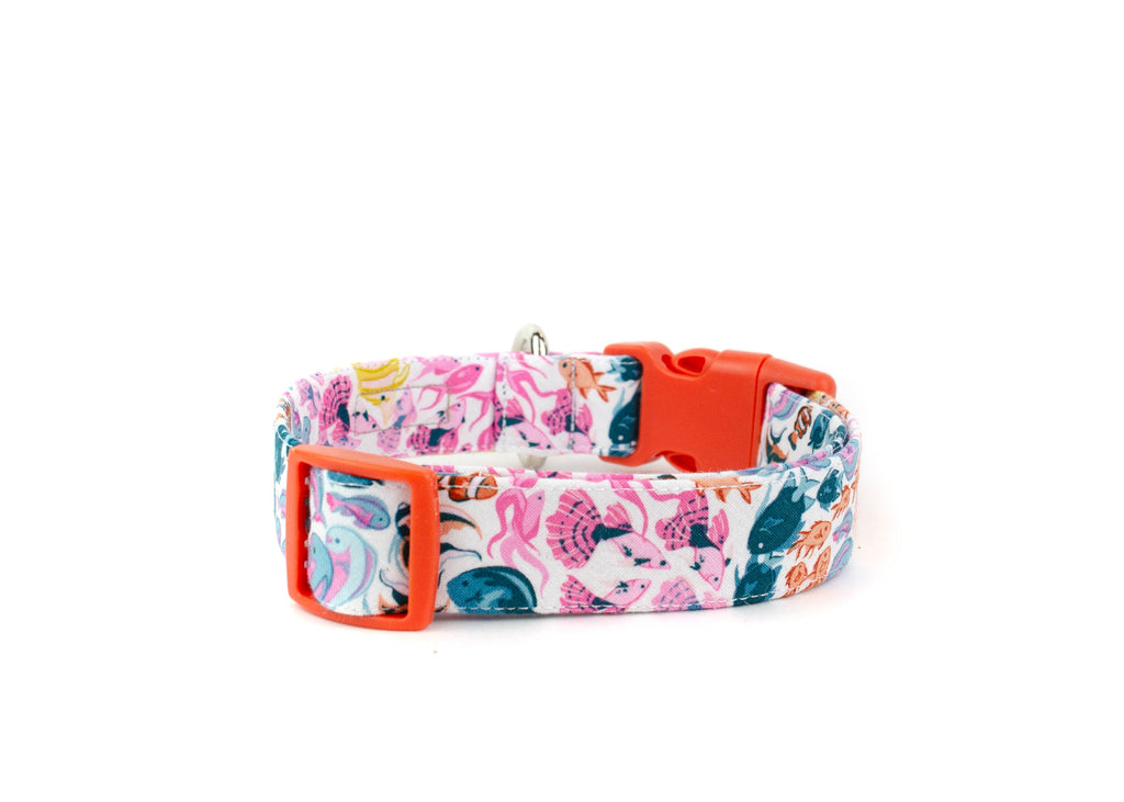 The Reef Collar