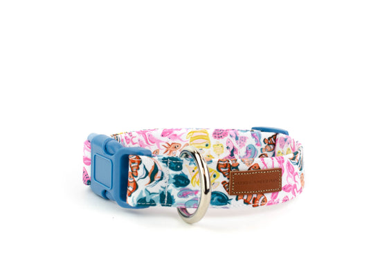 The Reef Collar
