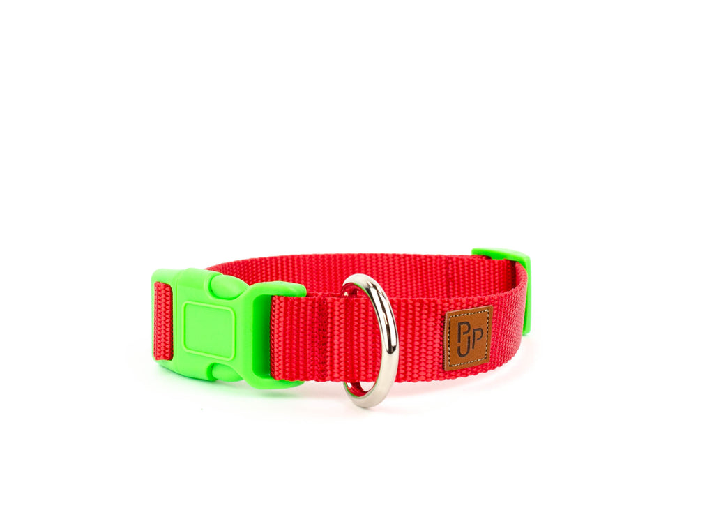PJP Fetch Collar - Candy Apple