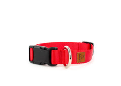 PJP Fetch Collar - Candy Apple