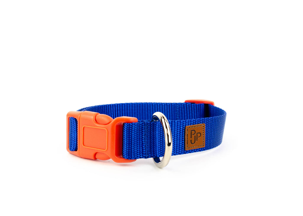 PJP Fetch Collar - Royal