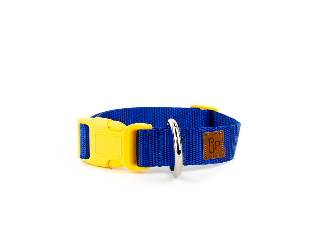 PJP Fetch Collar - Royal