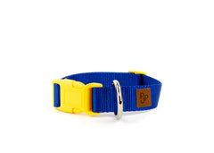 PJP Fetch Collar - Royal