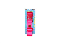 PJP Fetch Collar - Electric