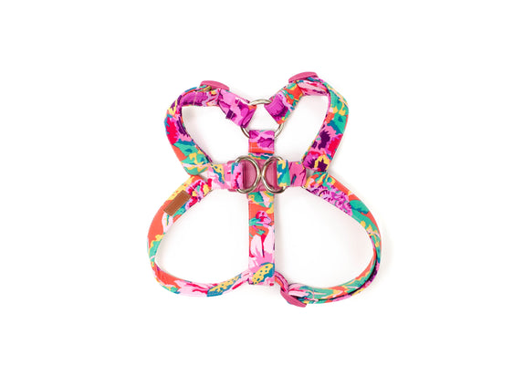 The Sadie Harness