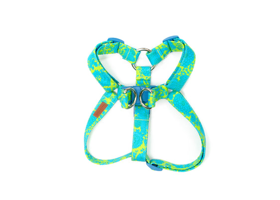 The Evelyn Harness