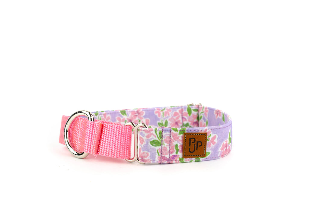 The Dee Martingale