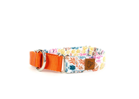 The Reef Martingale