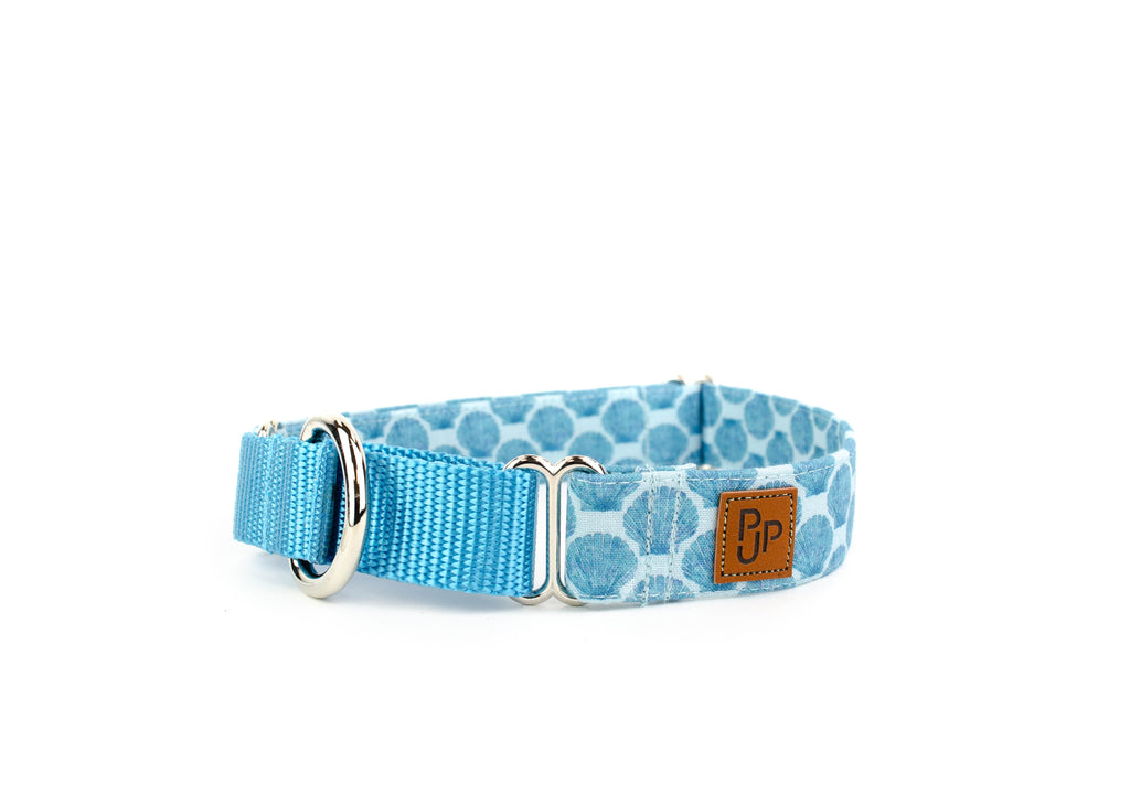 The Caspian Martingale