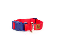 PJP Fetch Collar - Candy Apple