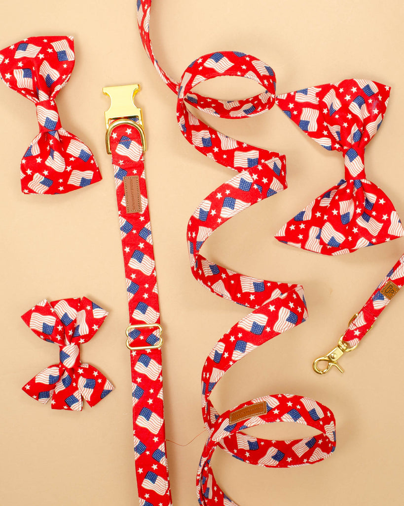 The Liberty Leash