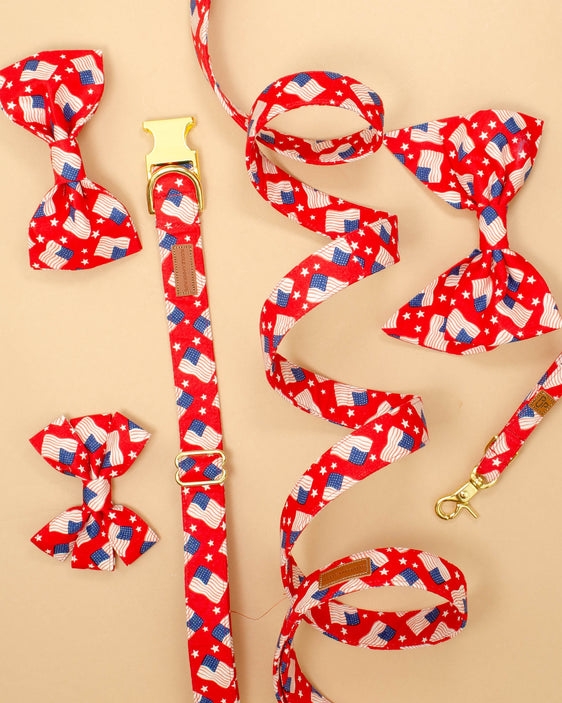 The Liberty Leash