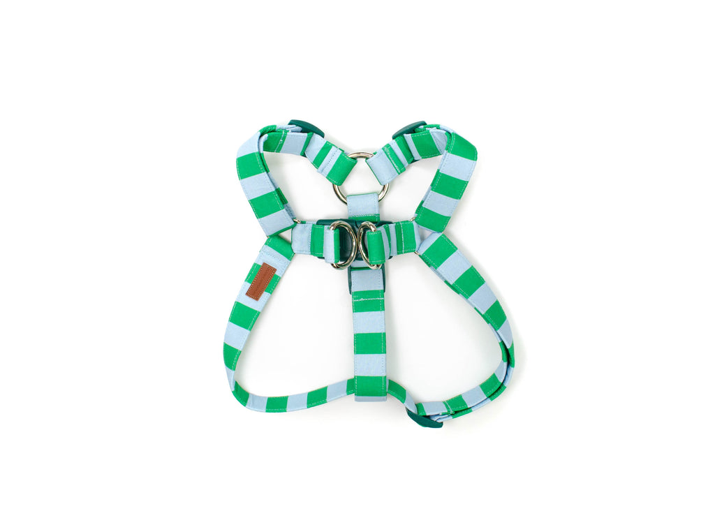 The Ernie Harness