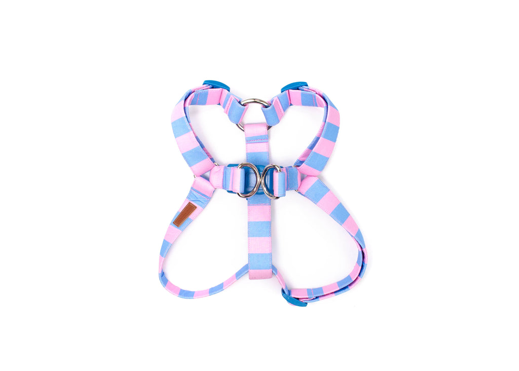The Rally Harness