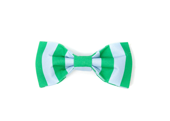 The Ernie Bowtie