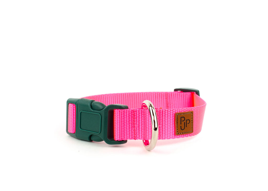 PJP Fetch Collar - Electric