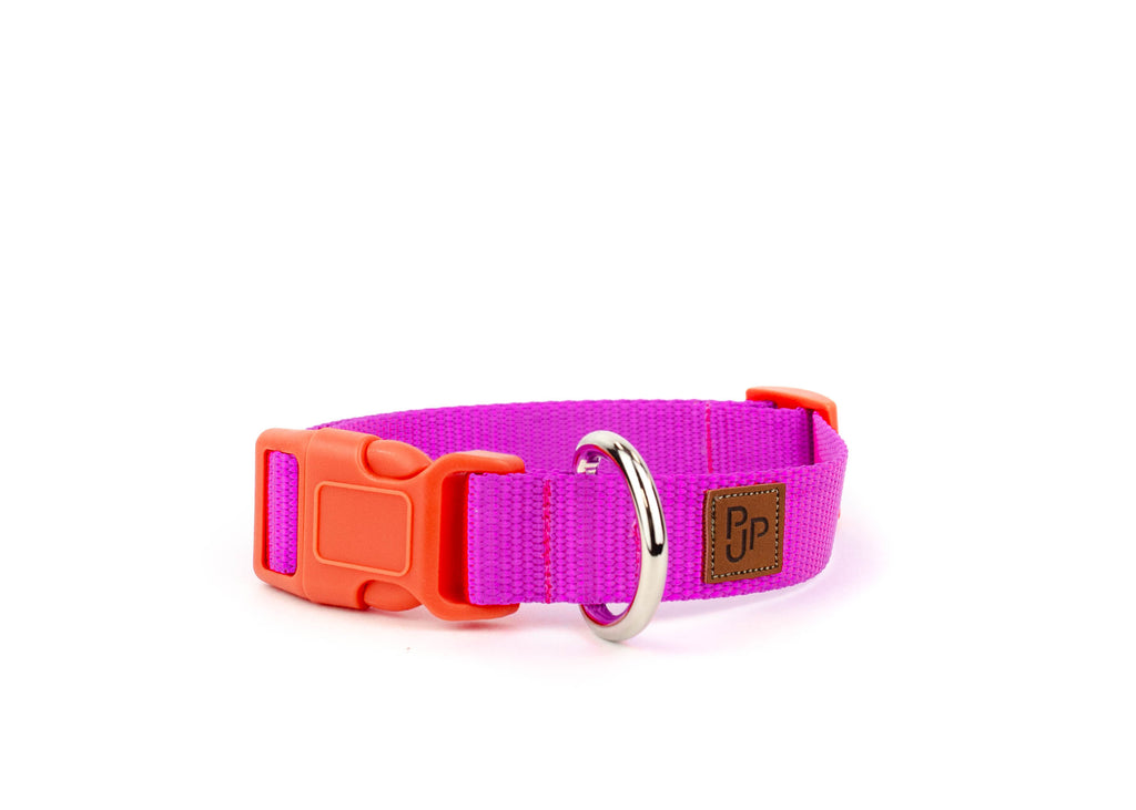 PJP Fetch Collar - Fuschia