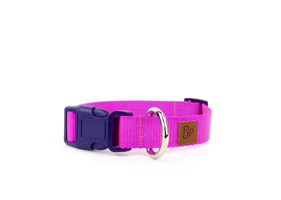 PJP Fetch Collar - Fuschia