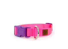PJP Fetch Collar - Electric
