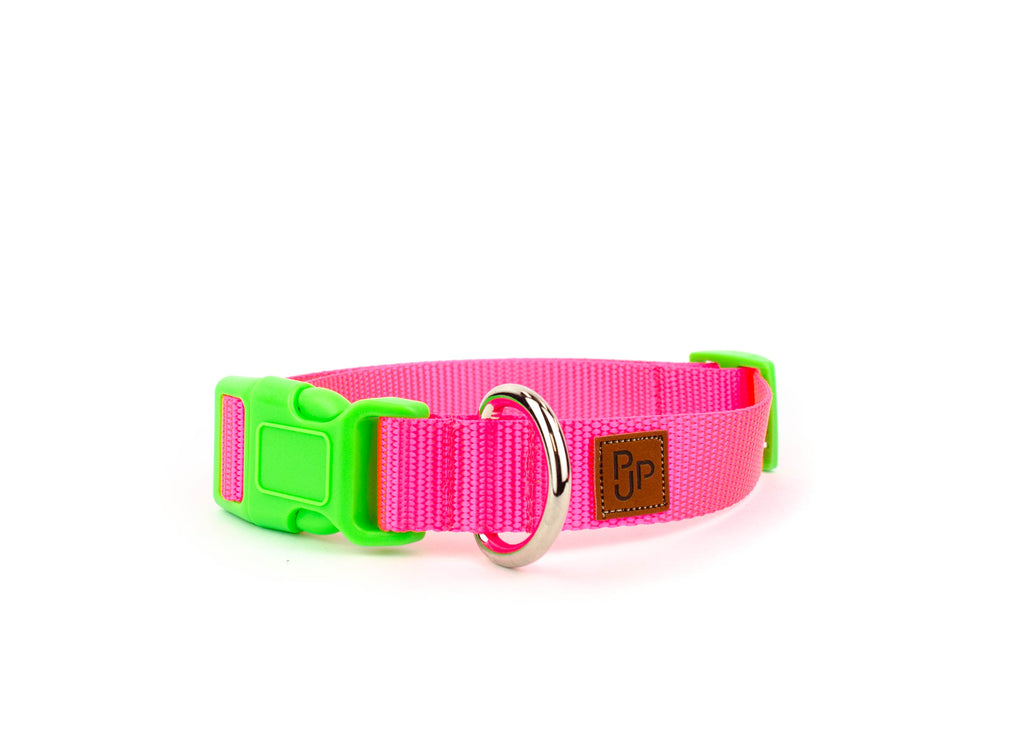 PJP Fetch Collar - Electric