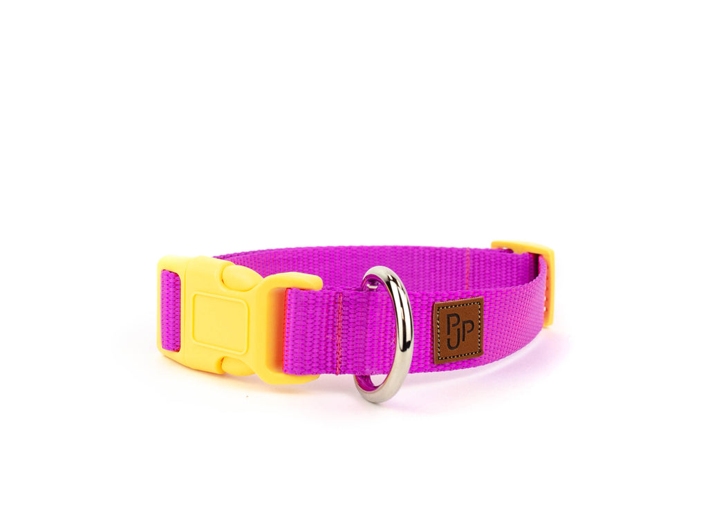 PJP Fetch Collar - Fuschia