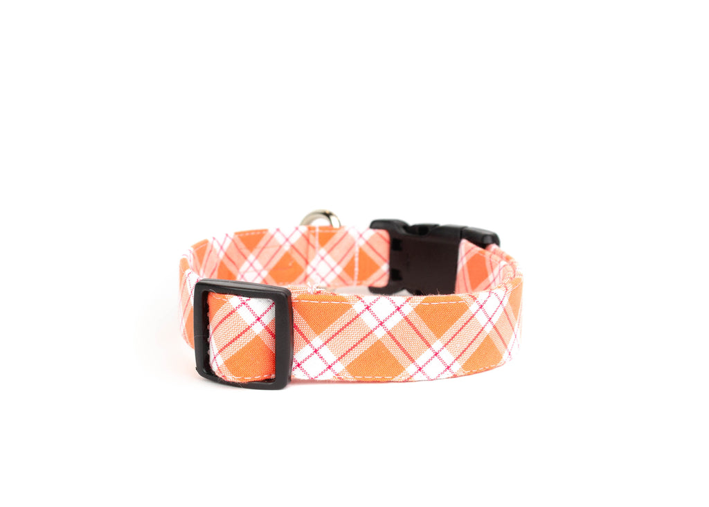 The Billie Collar