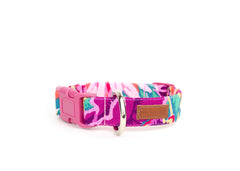 The Sadie Collar