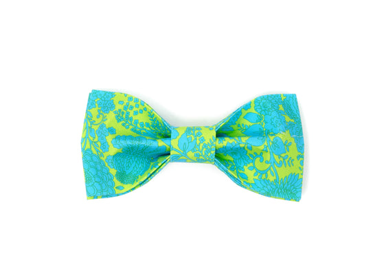 The Evelyn Bowtie