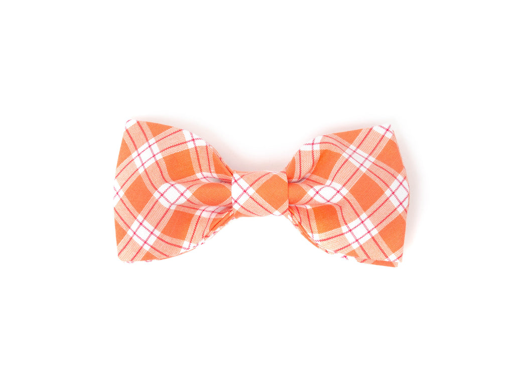 The Billie Bowtie