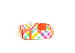 The Avery Collar