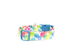 The Hip Hip Hooray Collar