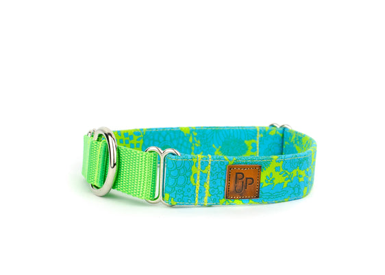 The Evelyn Martingale