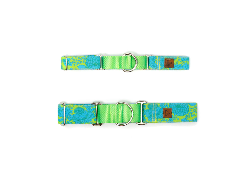 The Evelyn Martingale