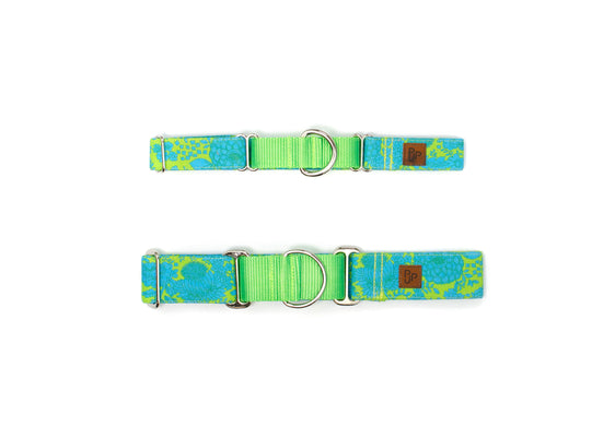 The Evelyn Martingale