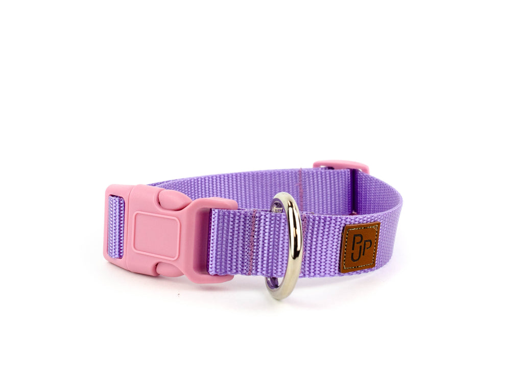 PJP Fetch Collar - Lilac