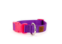 PJP Fetch Collar - Blackberry