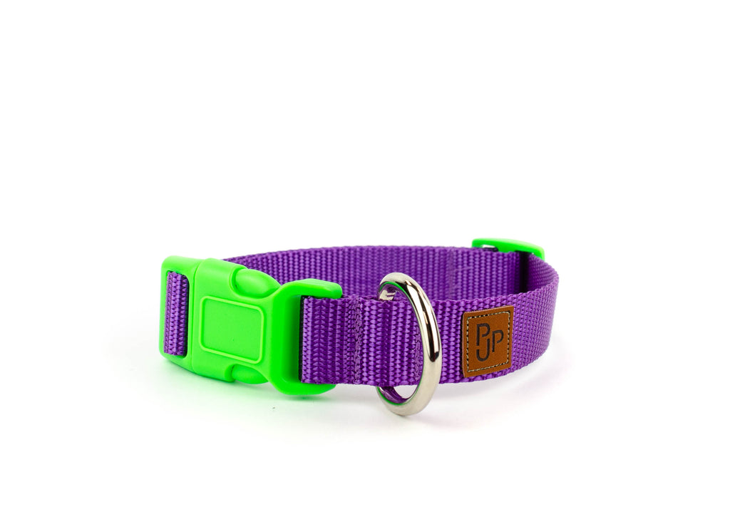 PJP Fetch Collar - Blackberry