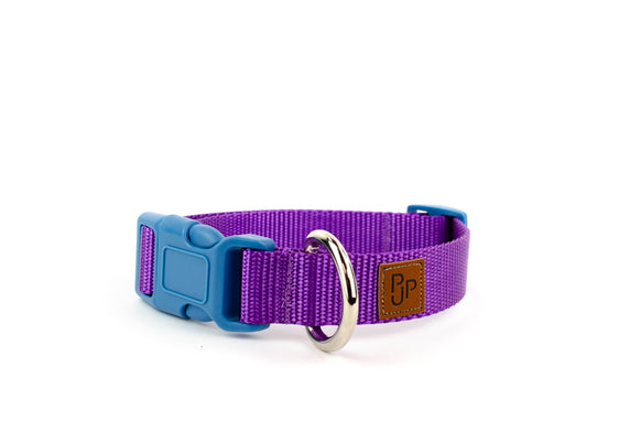 PJP Fetch Collar - Blackberry