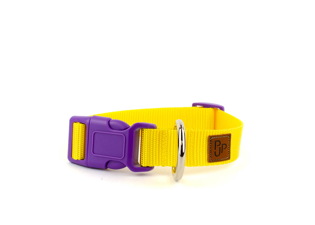 PJP Fetch Collar - Sunny