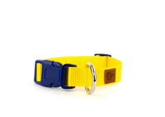 PJP Fetch Collar - Sunny