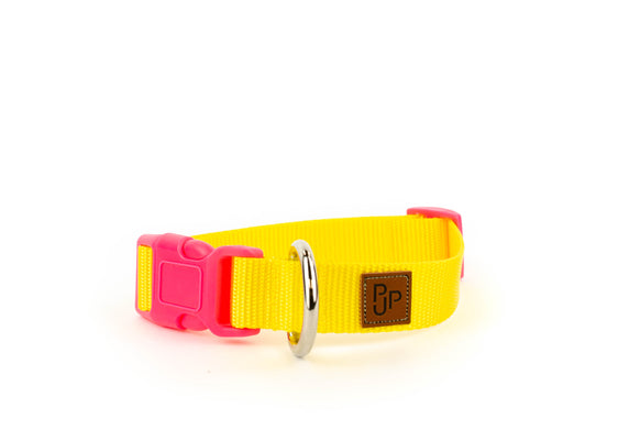 PJP Fetch Collar - Sunny