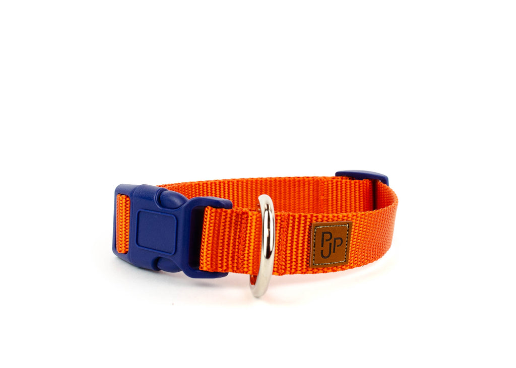 PJP Fetch Collar - Tangerine