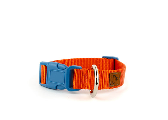 PJP Fetch Collar - Tangerine