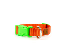 PJP Fetch Collar - Tangerine