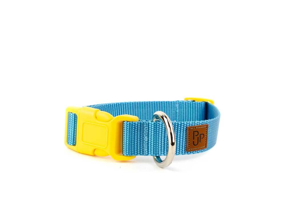 PJP Fetch Collar - Blue Sky