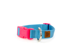 PJP Fetch Collar - Blue Sky