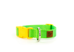 PJP Fetch Collar - Key Lime